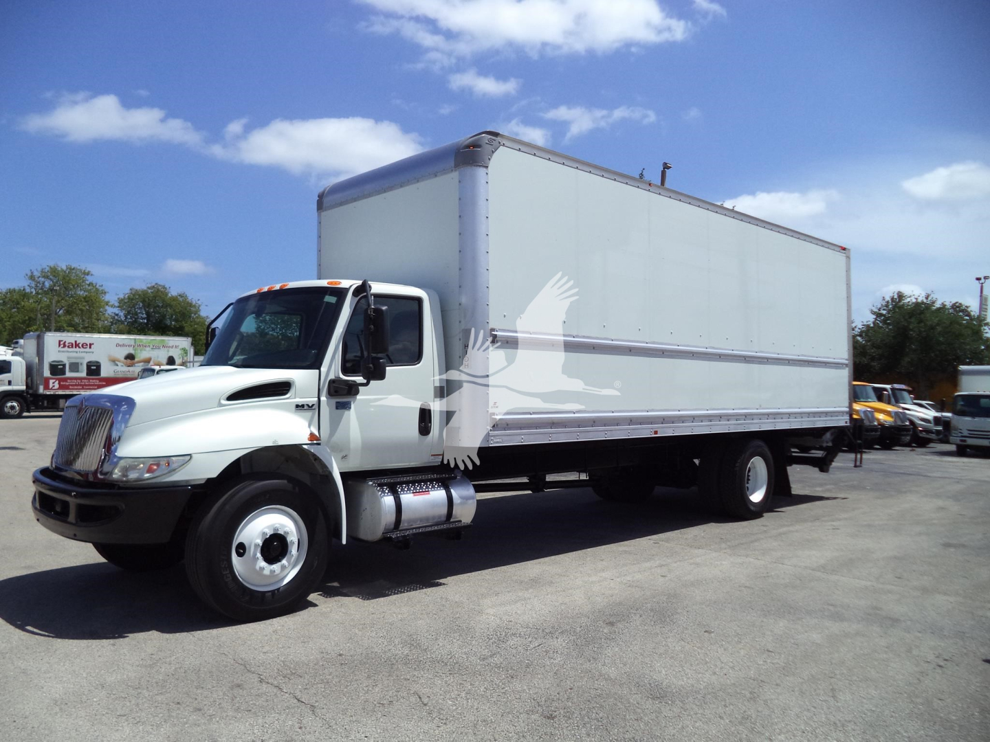 Box truck with a white cab and large rectangular cargo box, side view showing front left, clear blue sky.