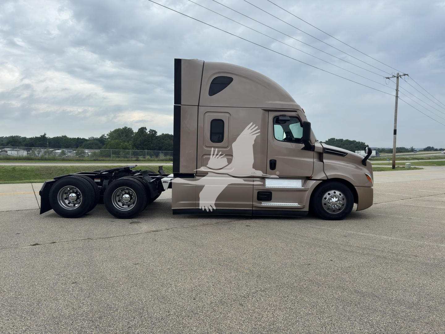 Freightliner Cascadia 126 sleeper tractor side view showing driver door, twin rear axles, and airbrush graphic with white wings.