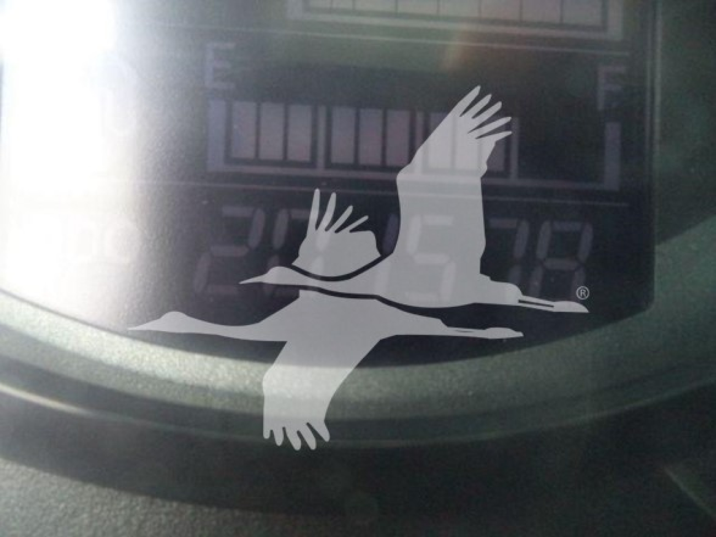 Dashboard gauge display on a refrigerated truck showing indistinct digital readouts behind a bird logo sticker.