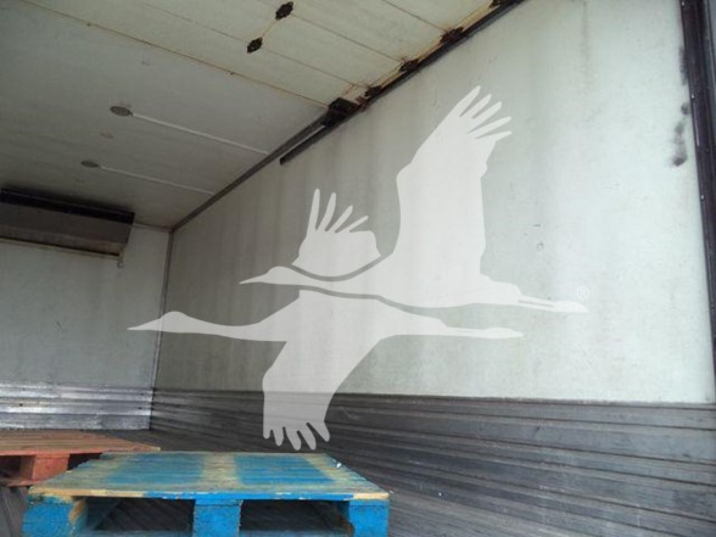Truck trailer interior with white seagull graphic on side wall and wooden pallet in foreground.