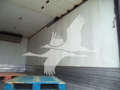 Truck trailer interior with white seagull graphic on side wall and wooden pallet in foreground.