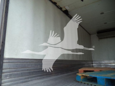 Open truck cargo area with a large white flying bird decal on the interior wall.