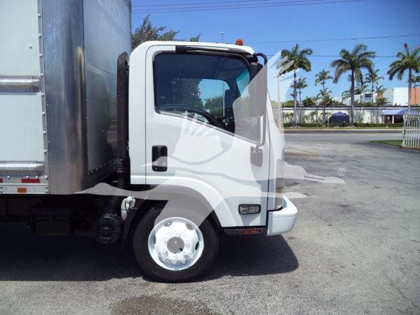 Isuzu NPR HD cab in front half view showing white cab, single front wheel, side mirror, and cargo box with aluminum panel behind; dealership lot with palm trees in background.