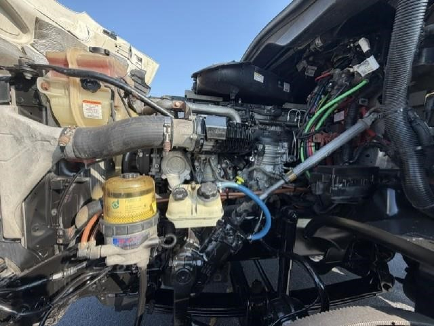 Freightliner Cascadia 126 engine bay with visible components: hoses, reservoir caps, wiring harnesses, and engine block plumbing.