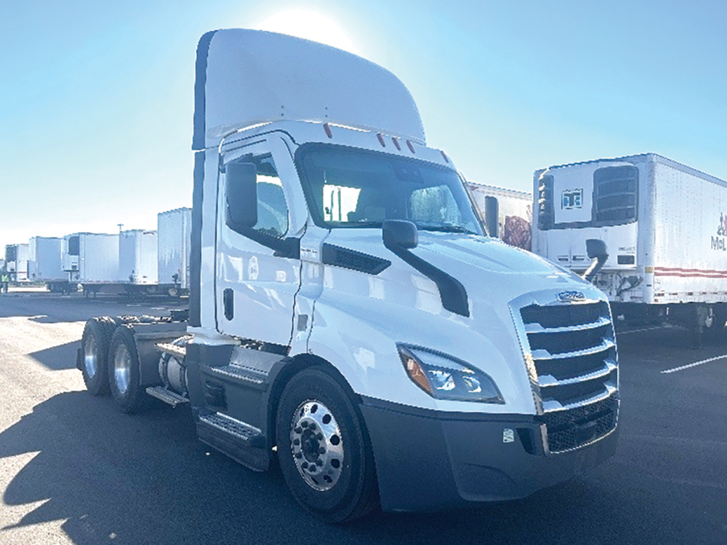 Truck hood and cab of a white Freightliner Cascadia 116 tractor, with sleeper cab and chrome grille, parked among trailers.