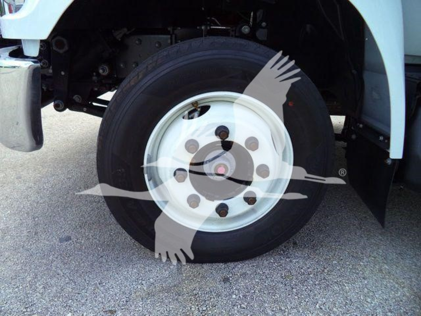 Front wheel and tire of a Ford F-650 grapple truck showing wheel rim and tire side, part of front fender and undercarriage visible.