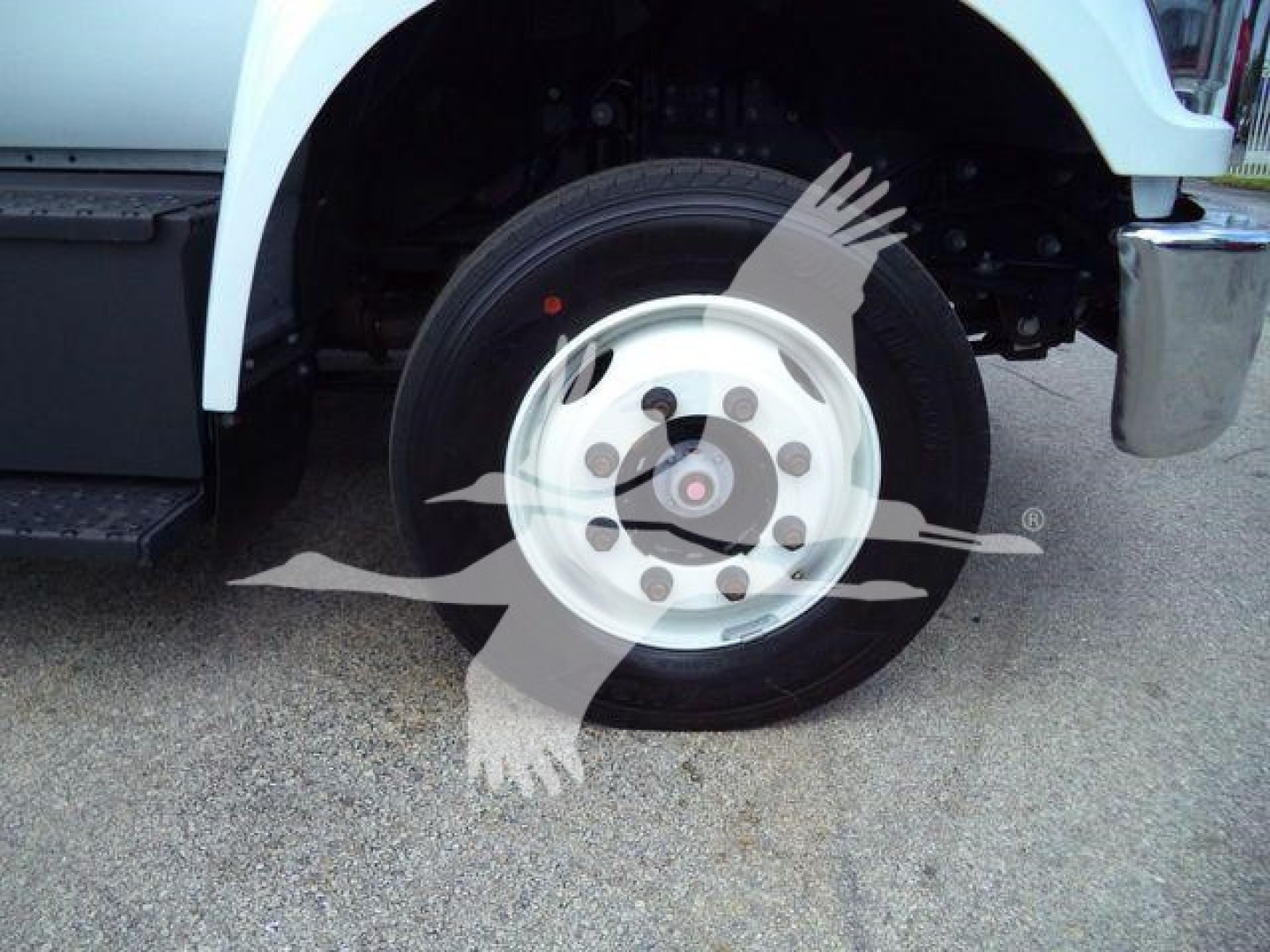 Front wheel and tire of a Ford F650 truck with white fender showing hub and rim details.