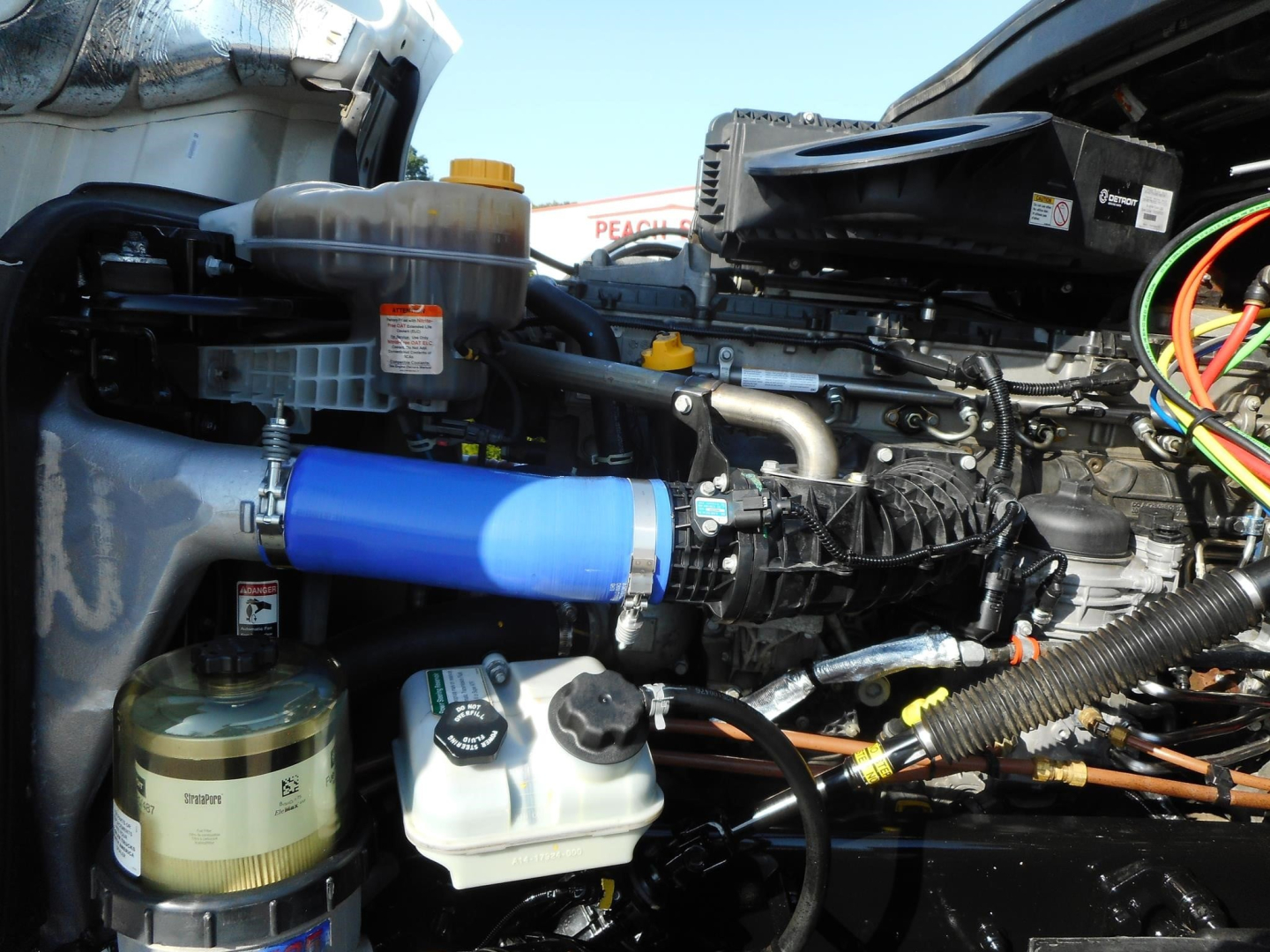 Engine bay of a Freightliner Cascadia 126 showing blue air intake hose, coolant reservoir, and various hoses and wiring harnesses.