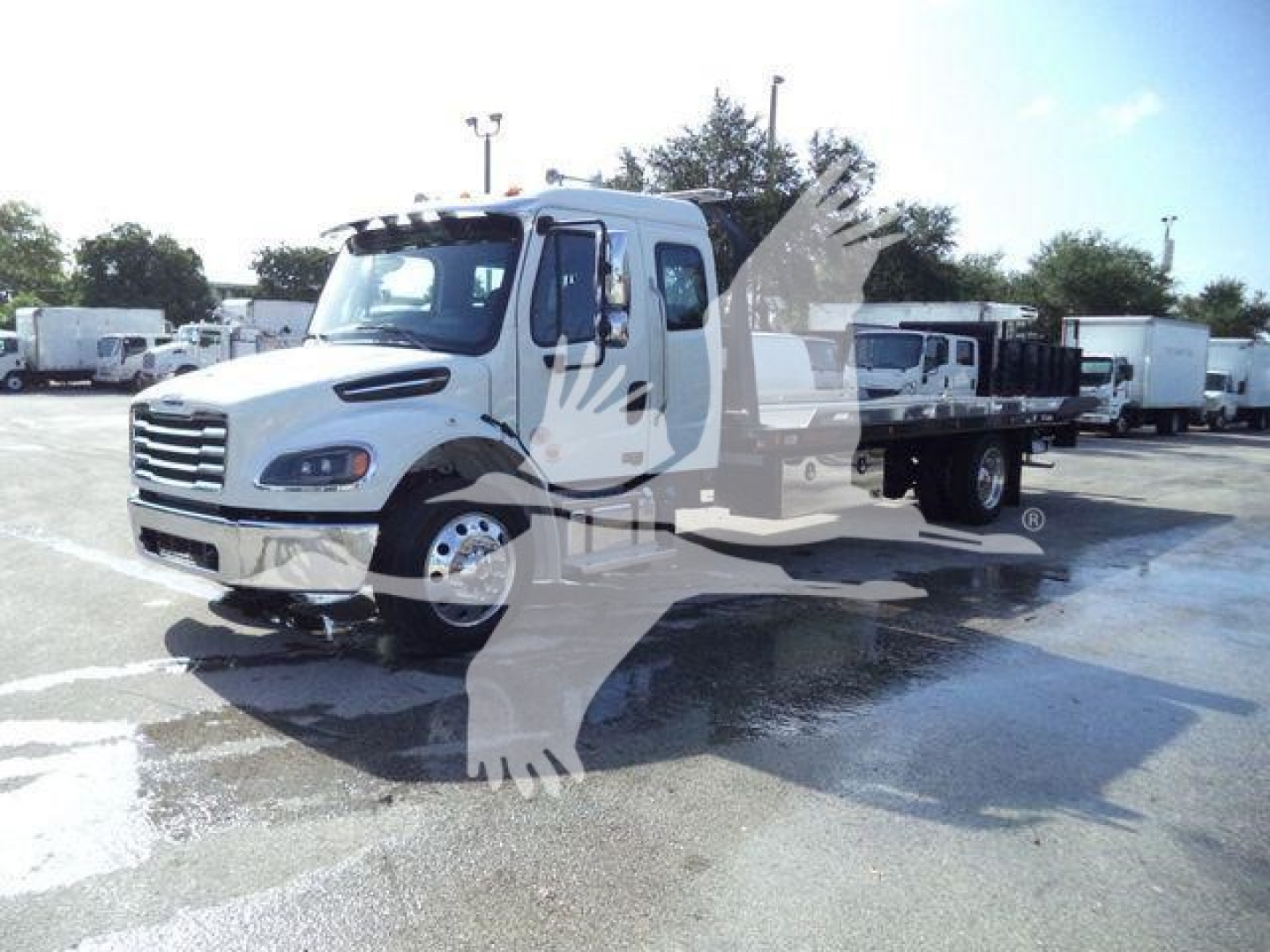 Freightliner Business Class M2 106 rollback truck in white, front-left view, with flatbed; showroom lot with other trucks in background.