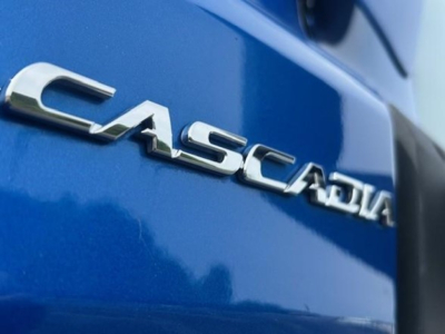 Freightliner Cascadia 126 badge on blue truck side showing CASCADIA lettering.