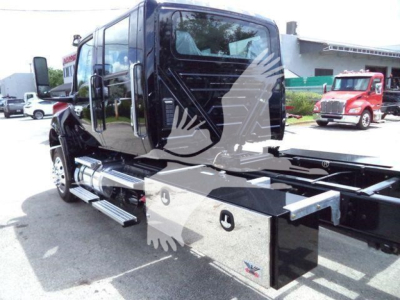 Truck cab with chrome toolbox and side steps; overlay watermark image of a bird; no legible labels visible on the image itself.