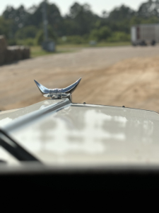 Kenworth W900L hood ornament on the truck's hood, chrome detail, blurred background of an outdoor lot.