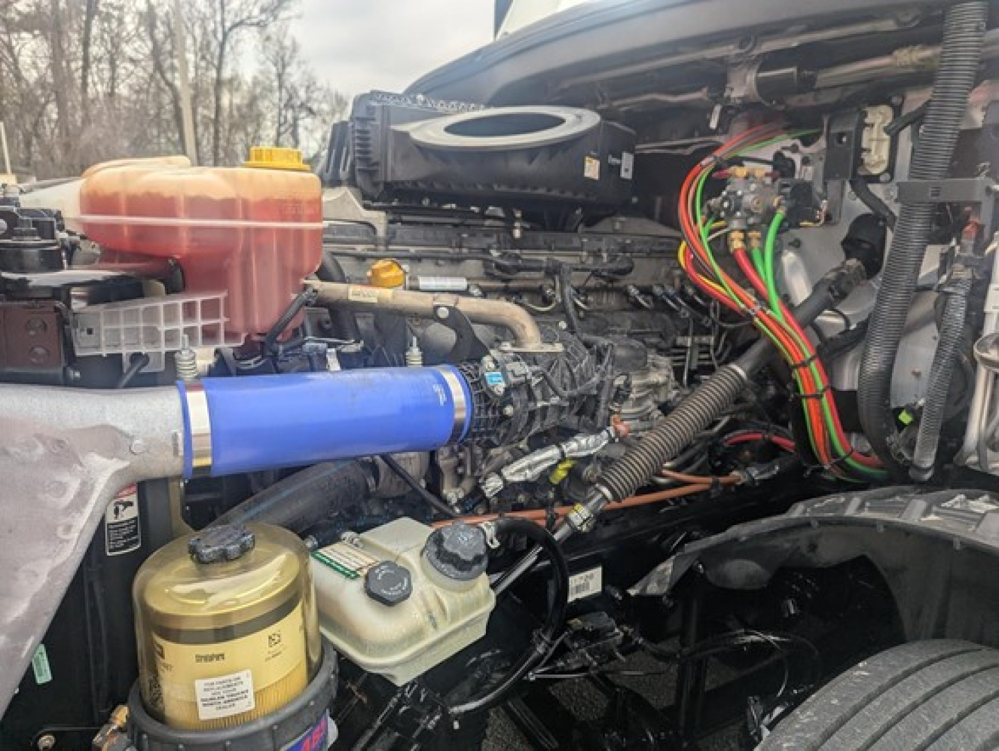 Freightliner Cascadia engine bay with various hoses, reservoirs, and wiring harnesses visible.