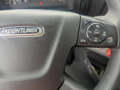 Steering wheel of a Freightliner Cascadia showing Freightliner badge and cruise control cluster on right side.