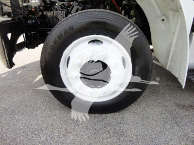 Wheel and tire on Freightliner M2 106 showing Deestone/ONIAN tire and white steel wheel; partial chassis and fender visible.
