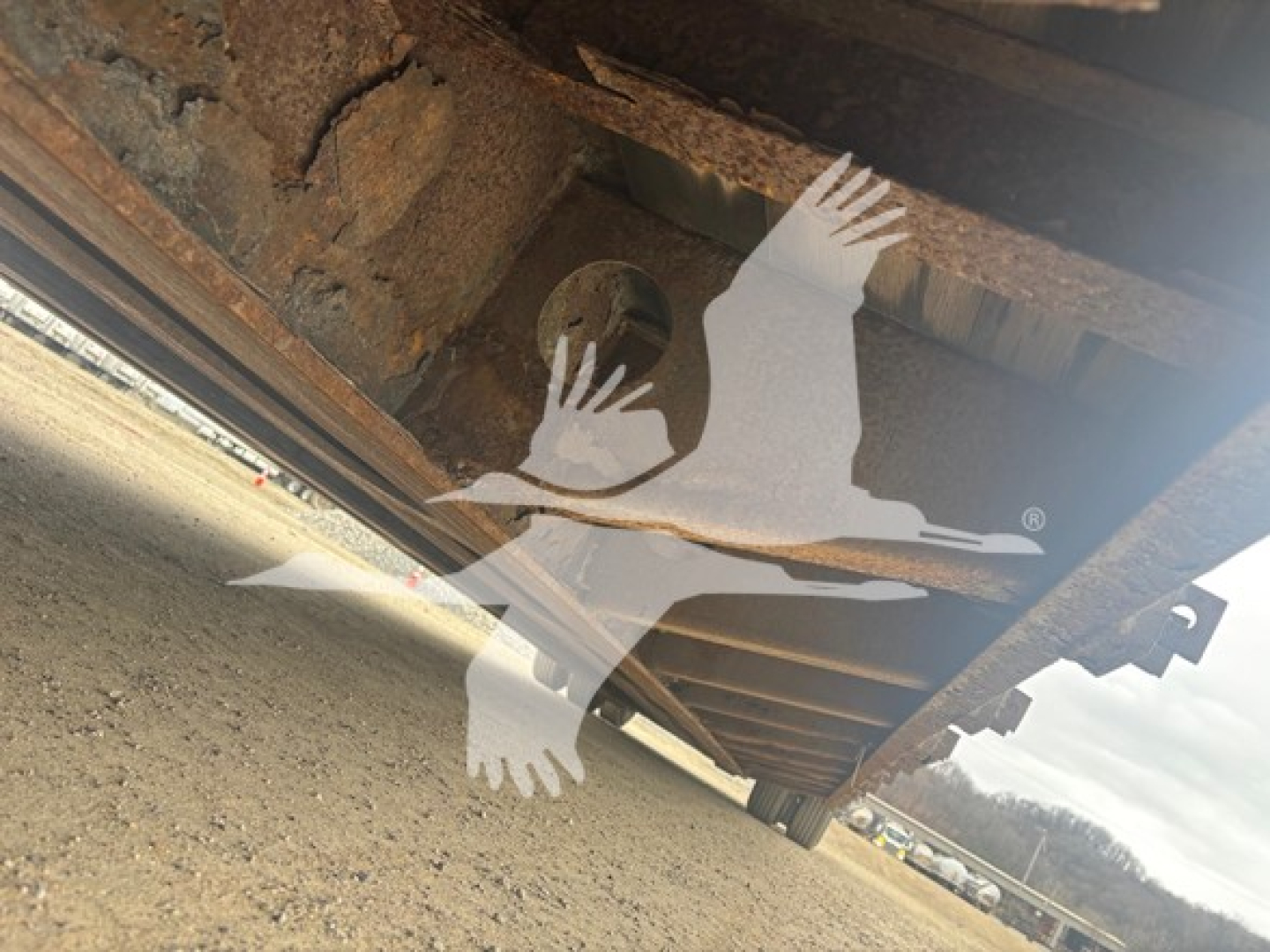 Trailer underside showing steel frame and ground with a logo watermark of a bird in flight.