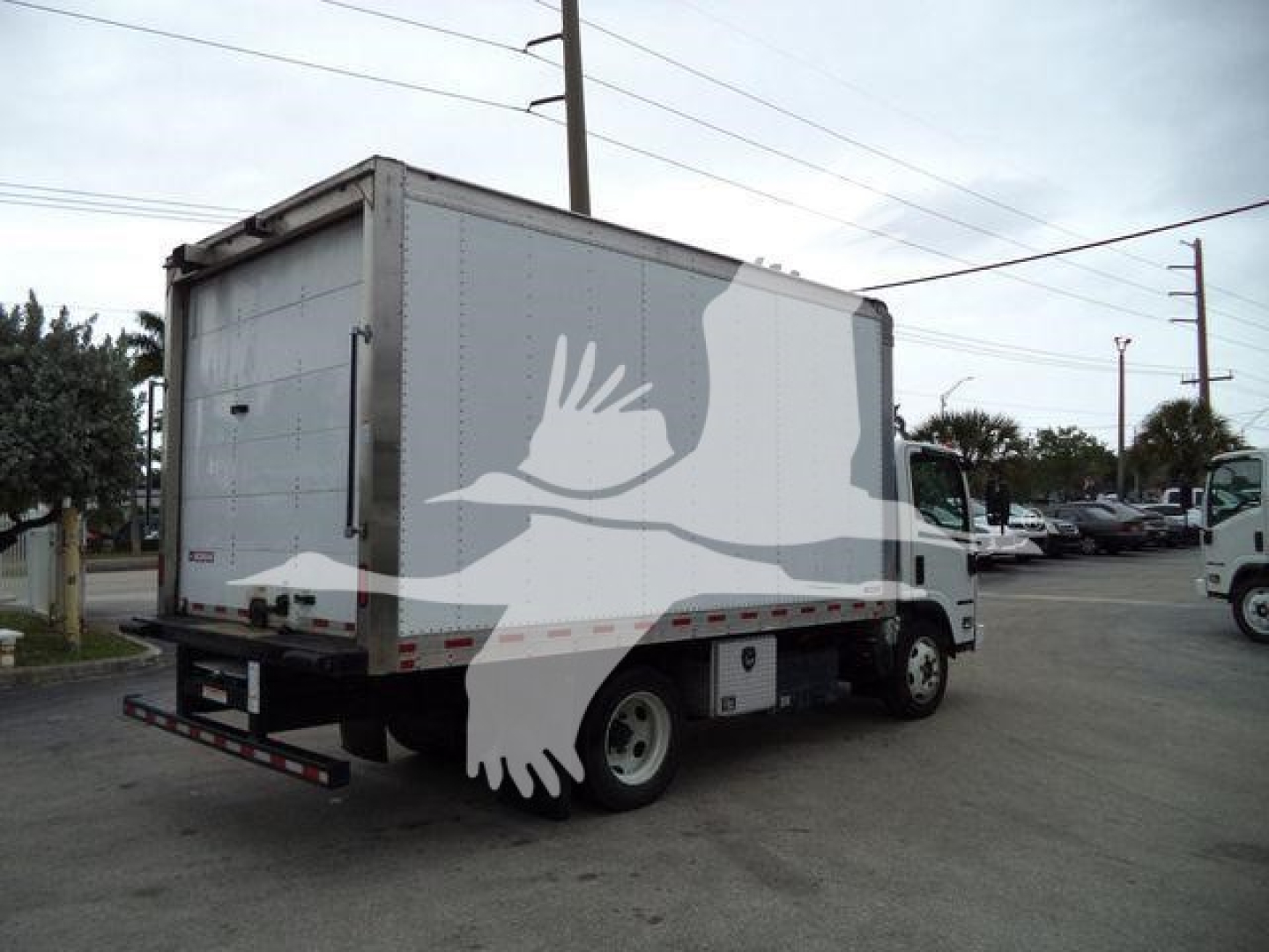 Isuzu NQR box truck rear 3/4 view with white cargo box and dual rear wheels