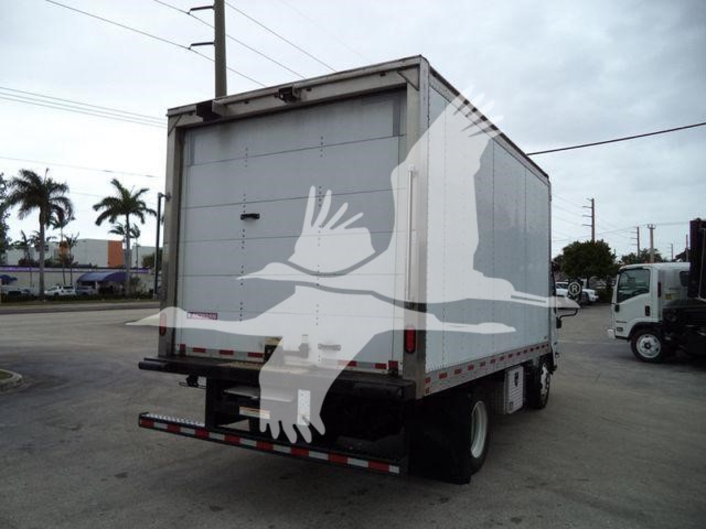 Isuzu box truck rear view showing cargo box and rear bumper with taillights.