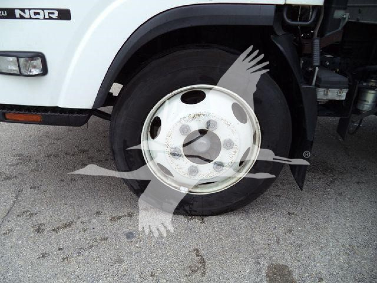Isuzu NQR front wheel area showing wheel and fender with NQR badge and part of cab; visible text includes 'NQR' near the front