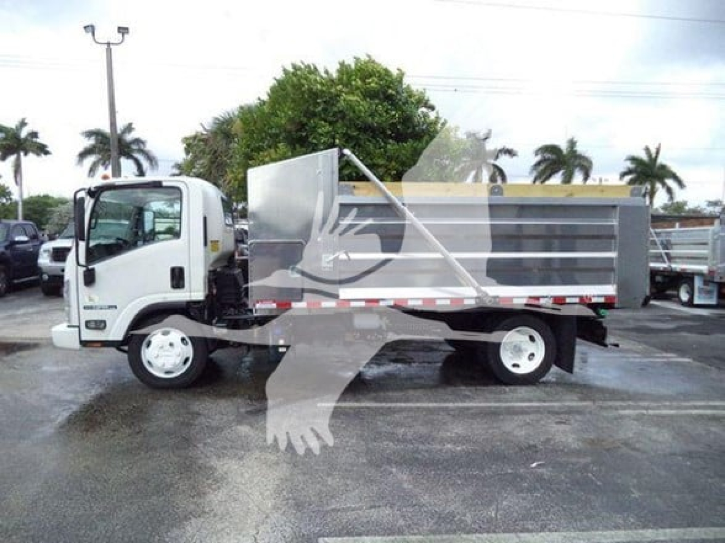 Isuzu NPR XD dump truck side view showing cargo bed and cab with white wheels.