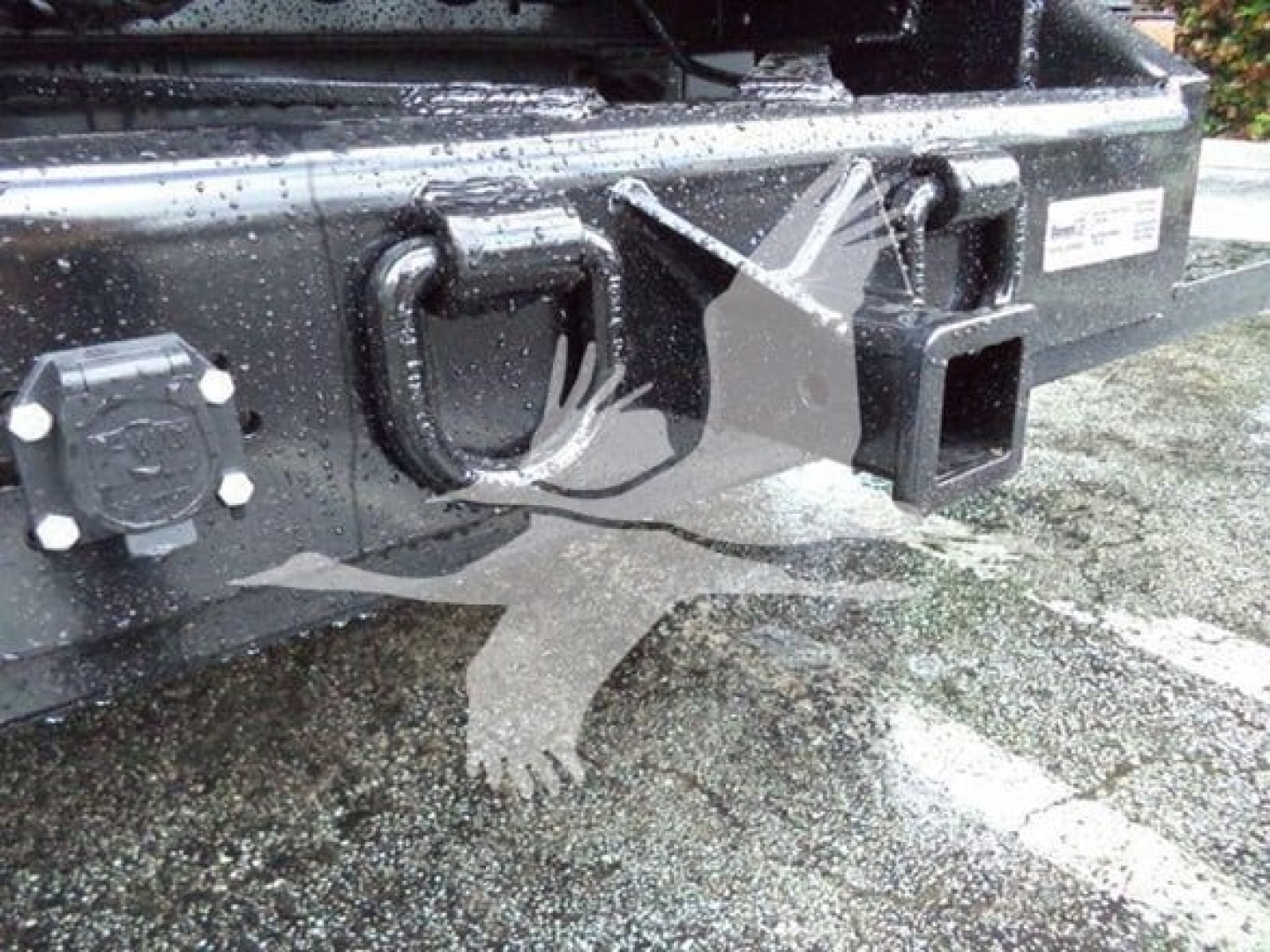 Isuzu NPR XD truck rear bumper area showing hitch receiver, towing eye, and electrical connector with label plate and surrounding surface.