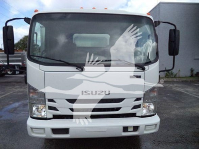 Isuzu NPR XD truck front view showing ISUZU emblem and grille with white paint.