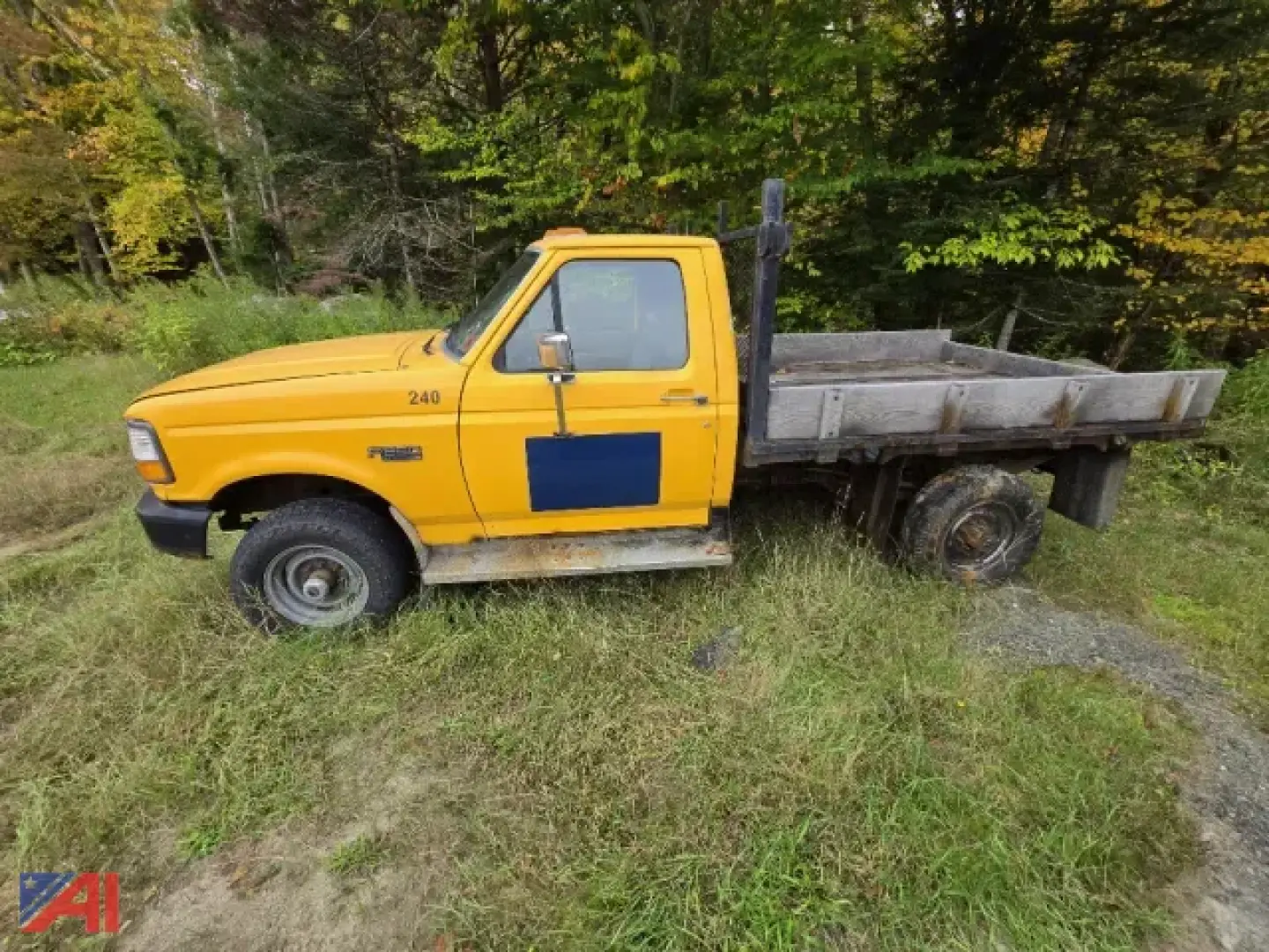 Ford F-250 flatbed truck side view showing yellow cab and gray dump bed with black toolbox, 1996 model year badge on door, in grassy area.