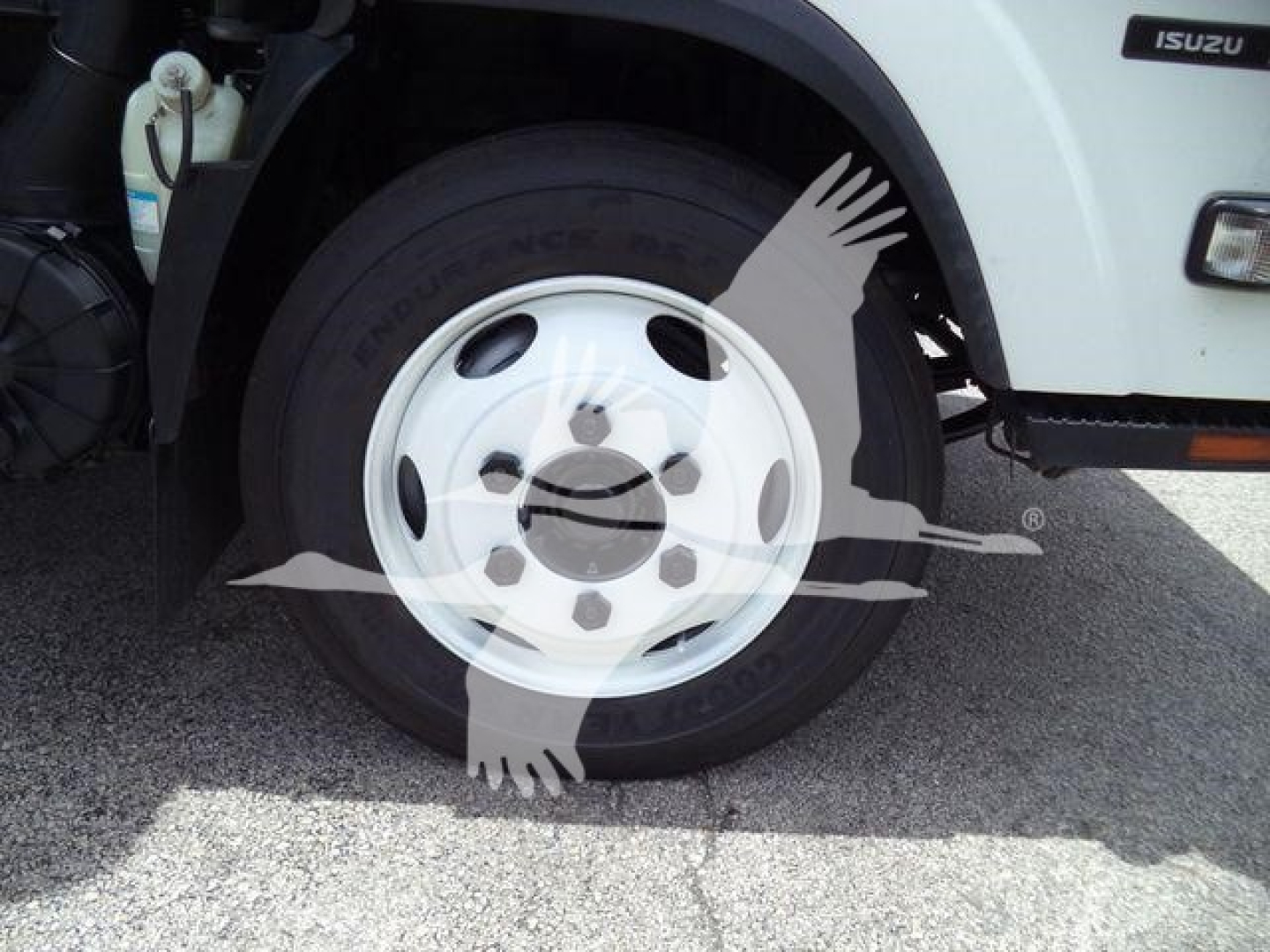 Isuzu NPR/NRR wheel and front fender showing steel wheel with hubcaps and tire, Isuzu badge visible on the body.