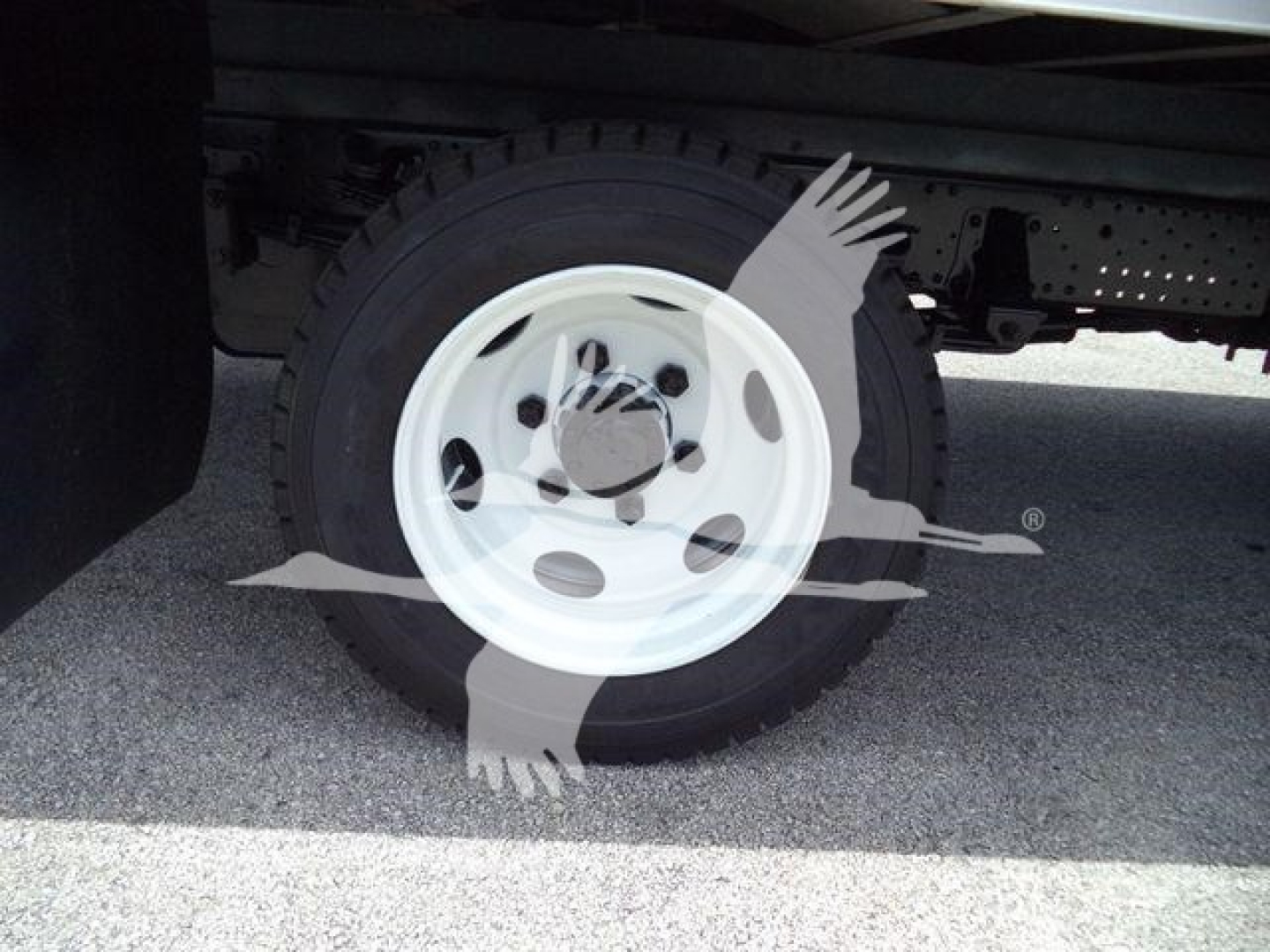Wheel and tire on Isuzu NPRR truck undercarriage with white rim and black tire.