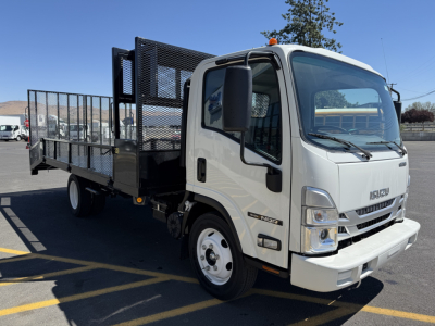 Isuzu NQR flatbed truck in light beige, front-right view showing flatbed with metal side rails and mesh headboard.