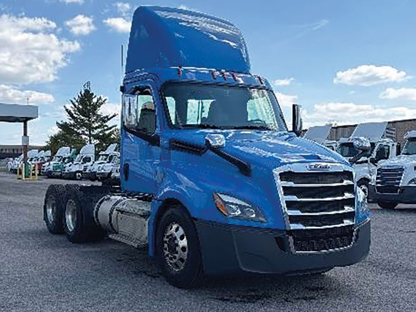 Freightliner Cascadia 116 sleeper cab tractor in blue, front angle view showing grille and side fuel tanks.
