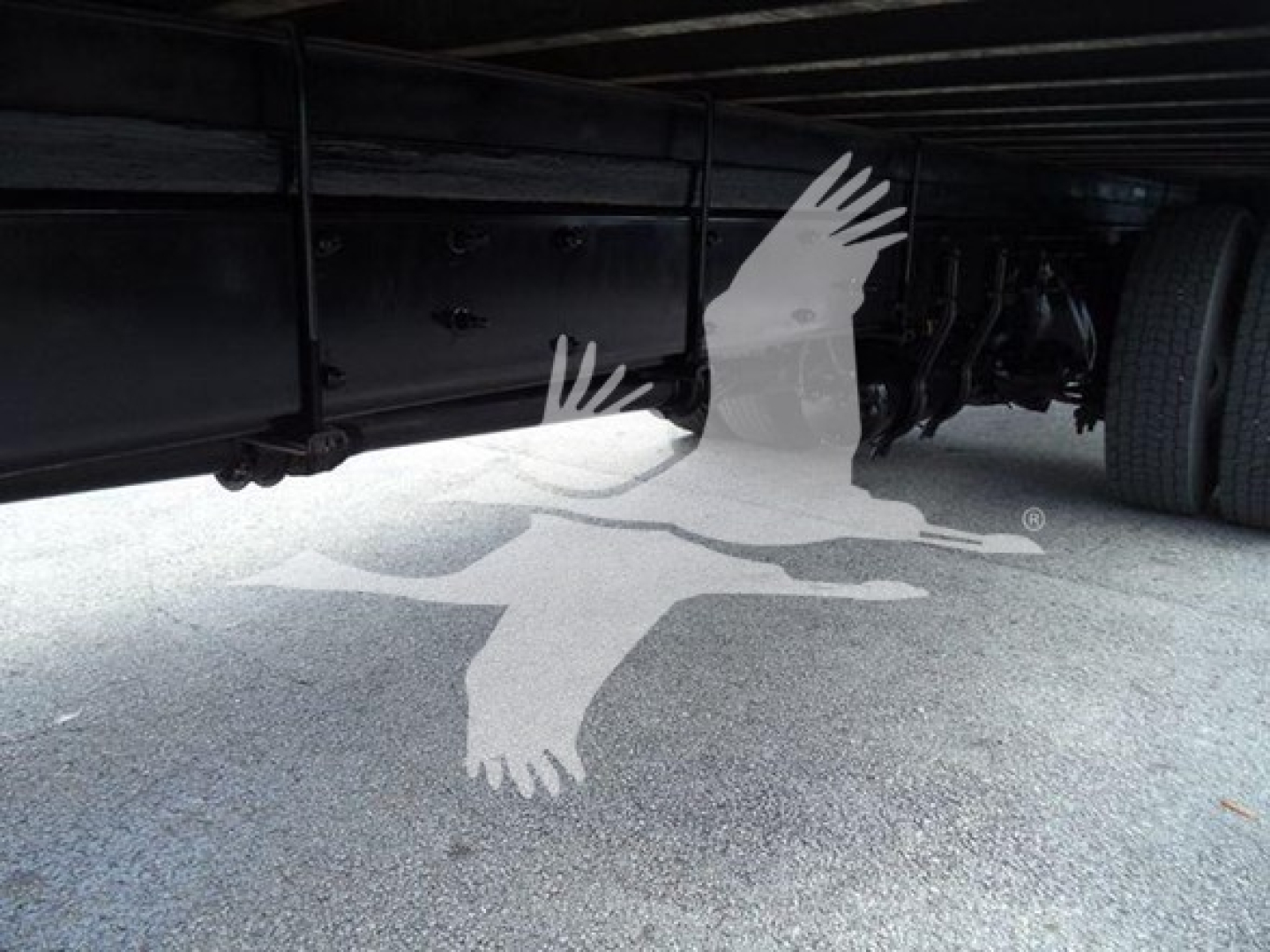 Underbody view of a Freightliner M2 106 showing chassis and drivetrain with a bird watermark across image.