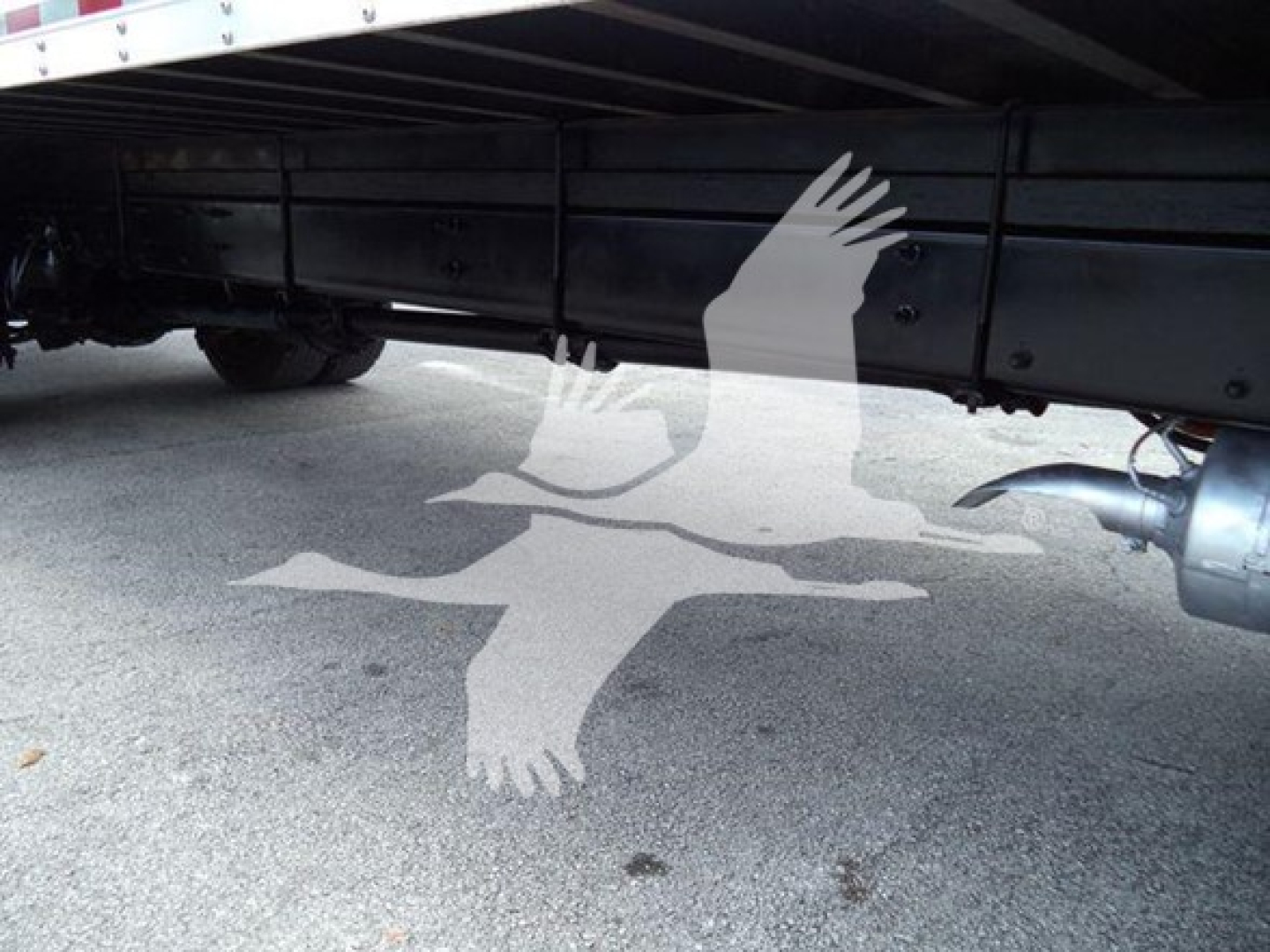 Freightliner M2 106 undercarriage showing frame rails and underbody components with shadowed logo watermark.