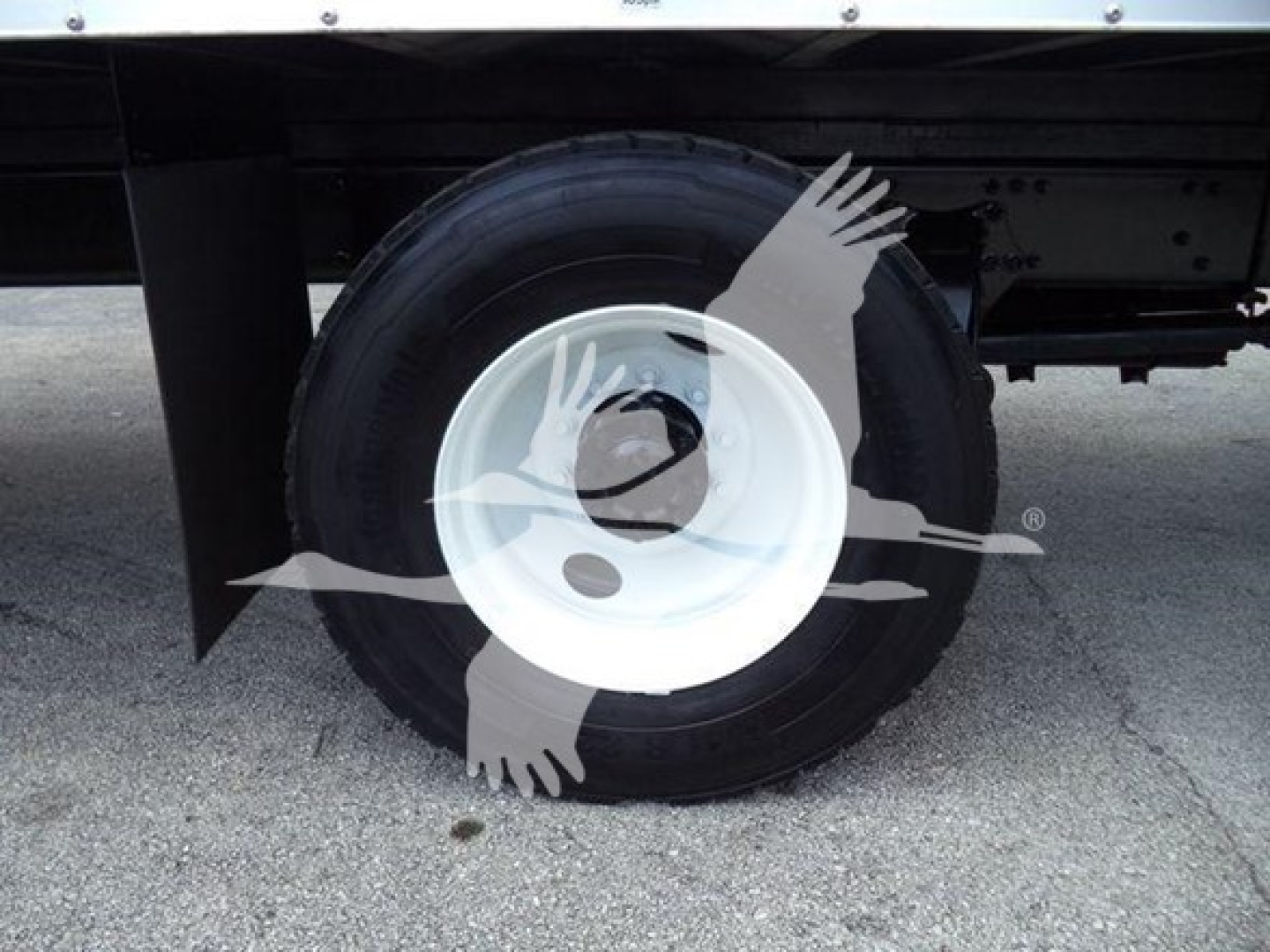 Freightliner M2 106 wheel and undercarriage showing white steel wheel and tire with body shadow. No visible model text on wheel.