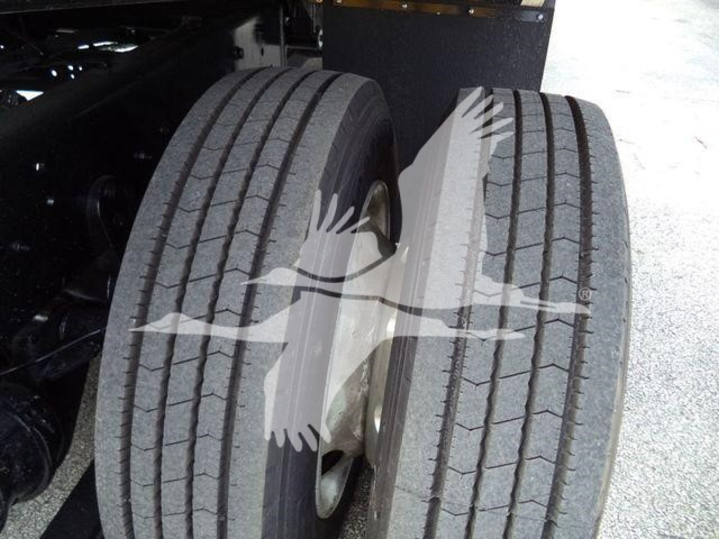 Dual rear wheels of a 2019 International 4300 roll-back truck showing treaded tires and rims.