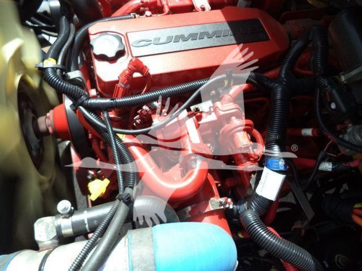 Cummins diesel engine bay with red valve cover and various hoses and wiring in a truck engine compartment.