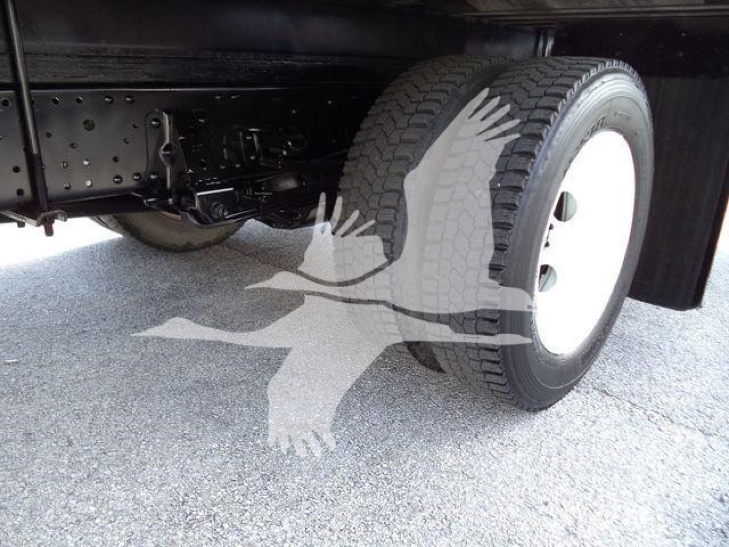 Isuzu NPR HD truck rear wheel and undercarriage view showing dual rear wheels and suspension.
