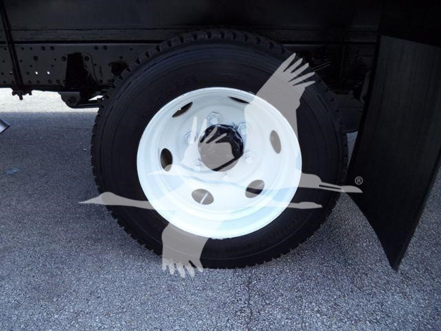 Isuzu NPR HD truck wheel and fender showing white steel wheel with black tire and wheel center cap, part of cargo box chassis.