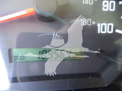 Isuzu NPR HD dashboard gauge cluster showing odometer reading and speedometer, with overlay watermark image of birds.