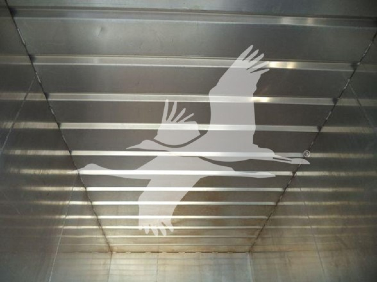 Isuzu FTR truck cargo area with metallic walls and a white seagull logo.