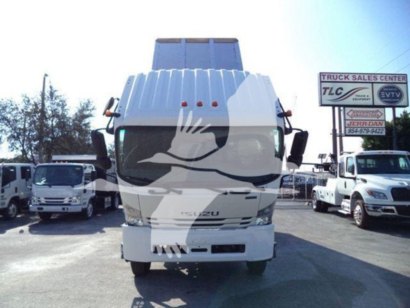 Isuzu FTR truck front view showing cab with ribbed hood and windshield, logo on grille, sales lot in background.