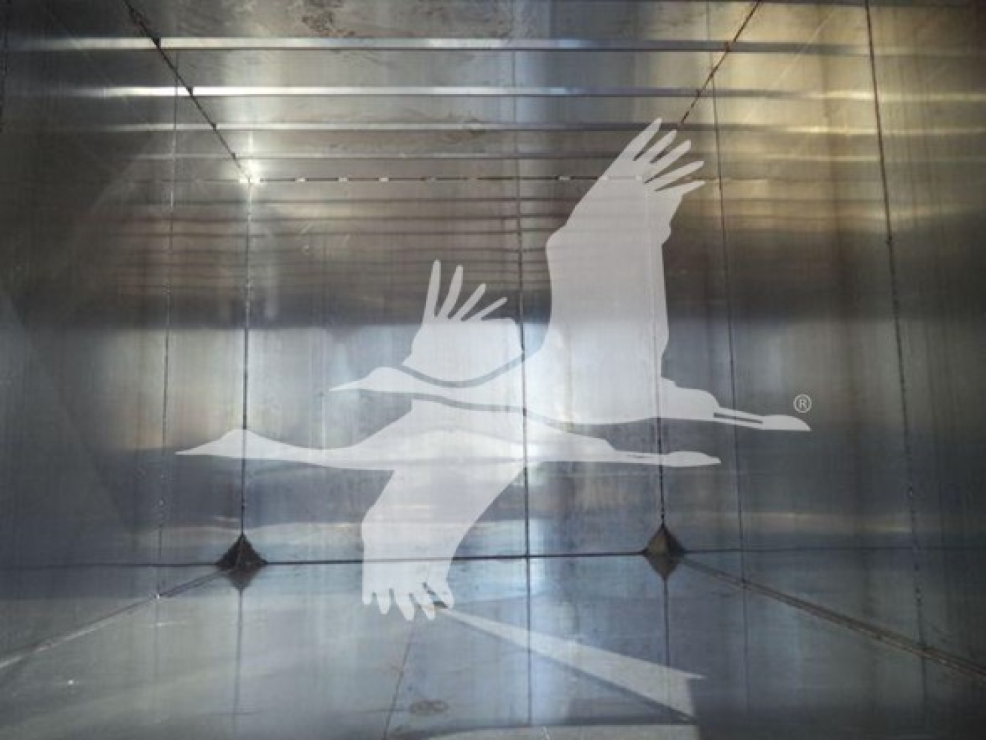 Isuzu truck bed interior showing a white graphic of two flying geese in flight as part of the logo.