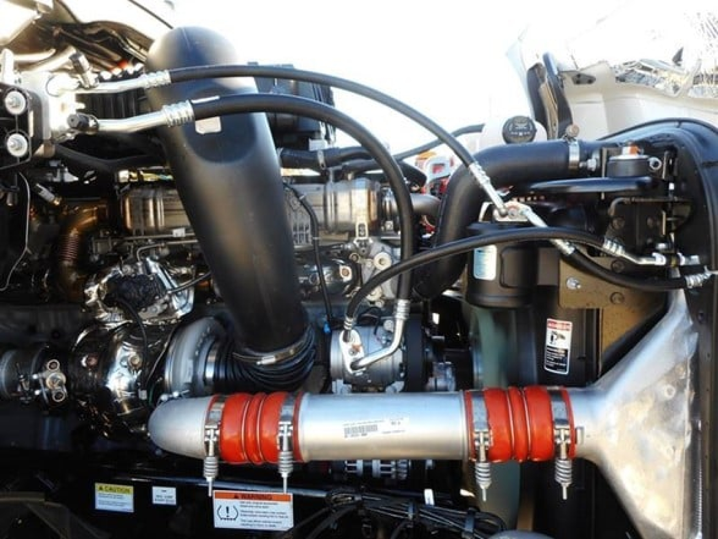 Freightliner Cascadia 126 engine bay showing turbo hoses, metallic coolant lines, and red hose clamps.