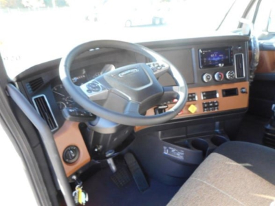 Freightliner Cascadia 126 truck cab interior showing steering wheel, dashboard, controls, and brown seat/trim.