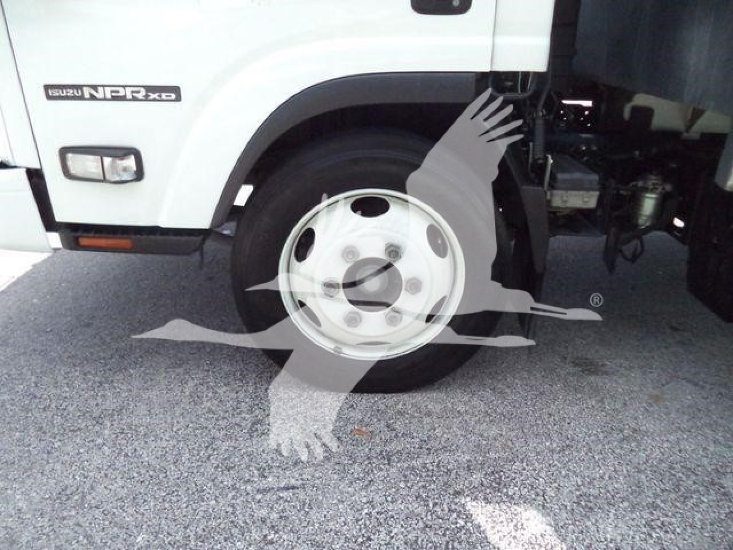 Isuzu NPR XD truck front wheel well and hubcap visible with Isuzu NPR XD badge on the cab.