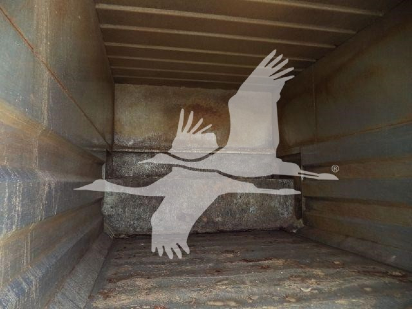Back of a truck bed with a white bird logo (seagull) overlapping the interior walls; no legible model text visible.