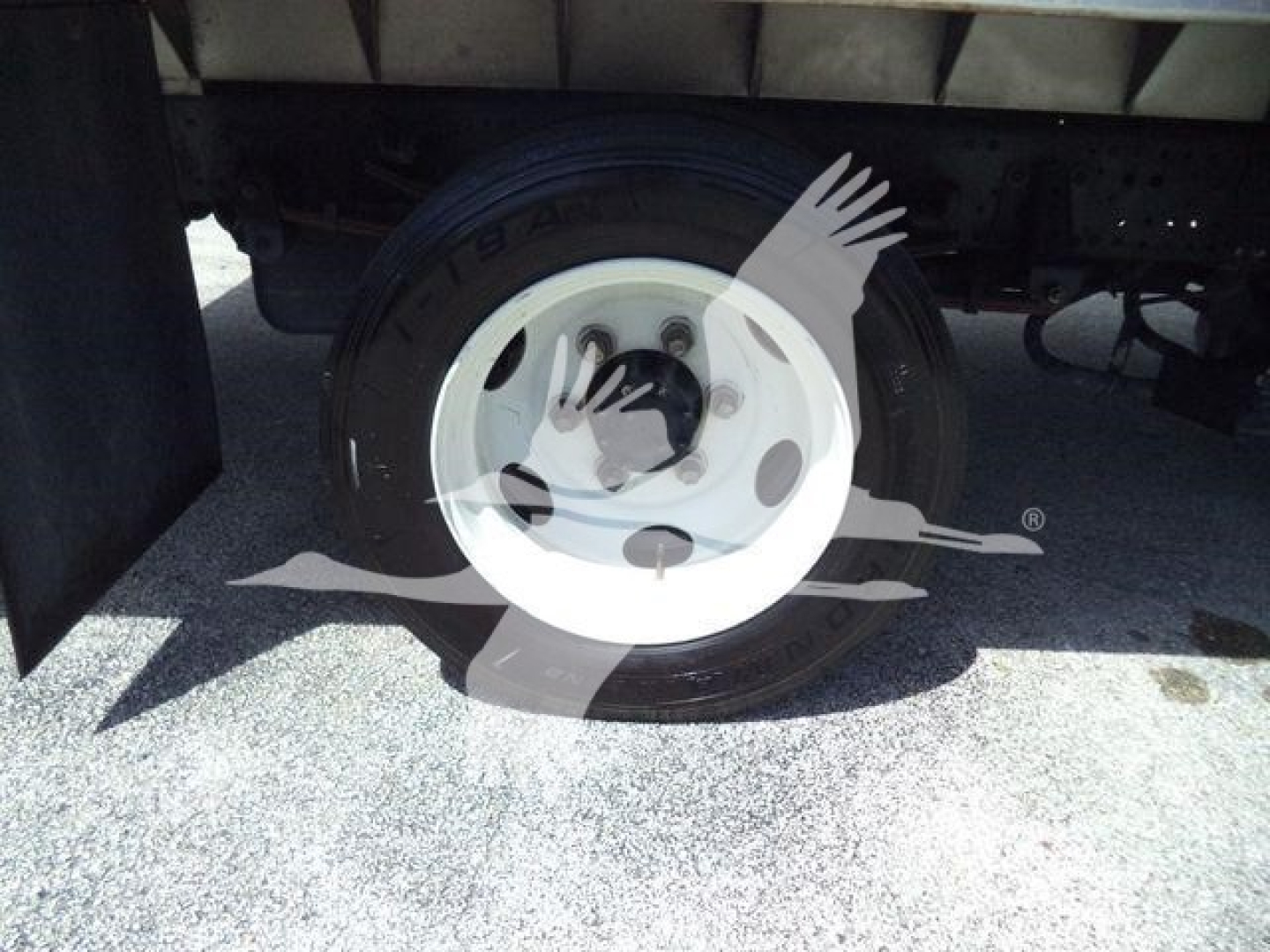 Truck wheel and tire under a Isuzu NPR XD chassis, white steel wheel, black tire, undercarriage visible