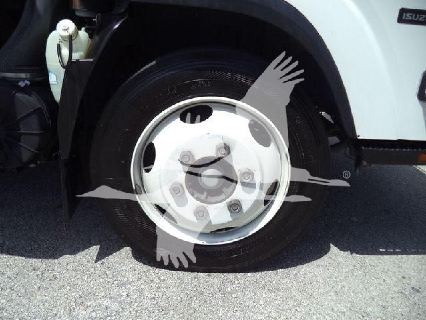 Isuzu NPR XD wheel and tire view with front fender and badge area visible.