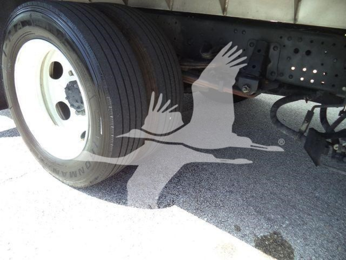 Isuzu NPR XD truck wheel and undercarriage view showing dual rear wheels and chassis with bolts and frame.