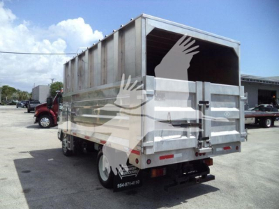 Isuzu NPR XD dump truck rear view showing cargo bed and tailgate in a used truck lot.